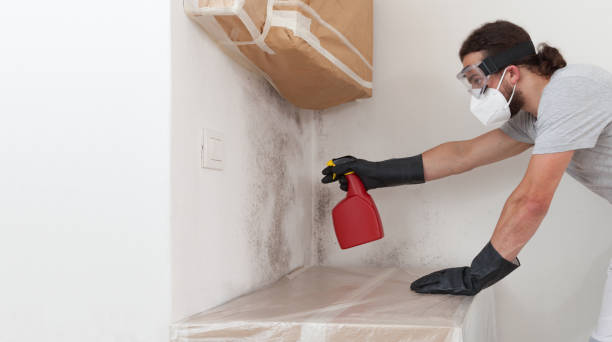 Professional Mold Testing technician working in Franklin Square, NY